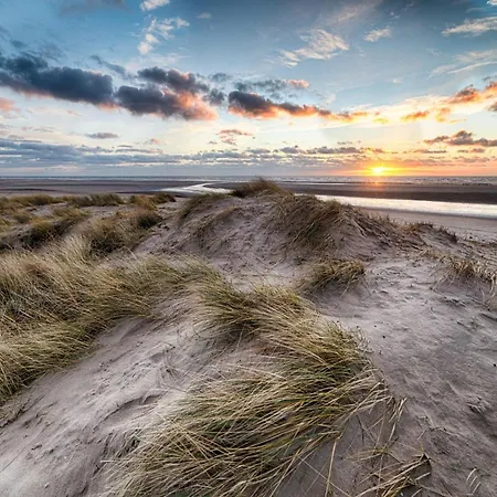 In Near Zwin Reserve Knokke-Heist