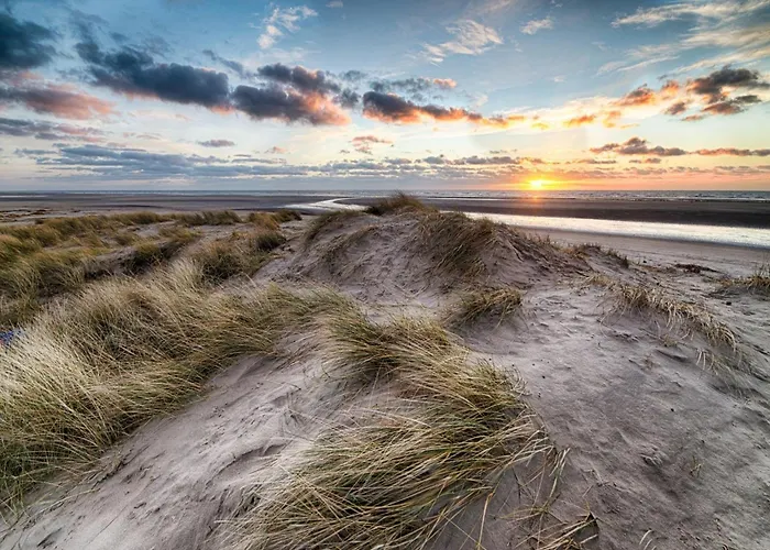 In Near Zwin Reserve Knokke-Heist