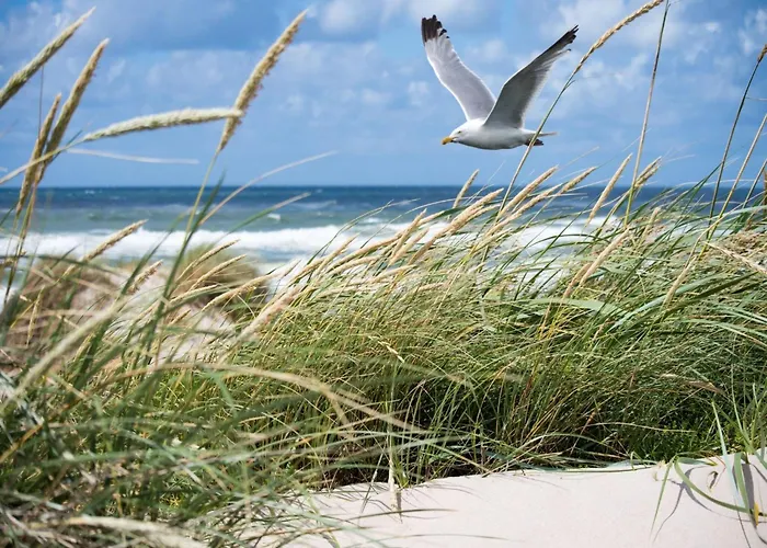 Appartement In Near Zwin Reserve Knokke-Heist